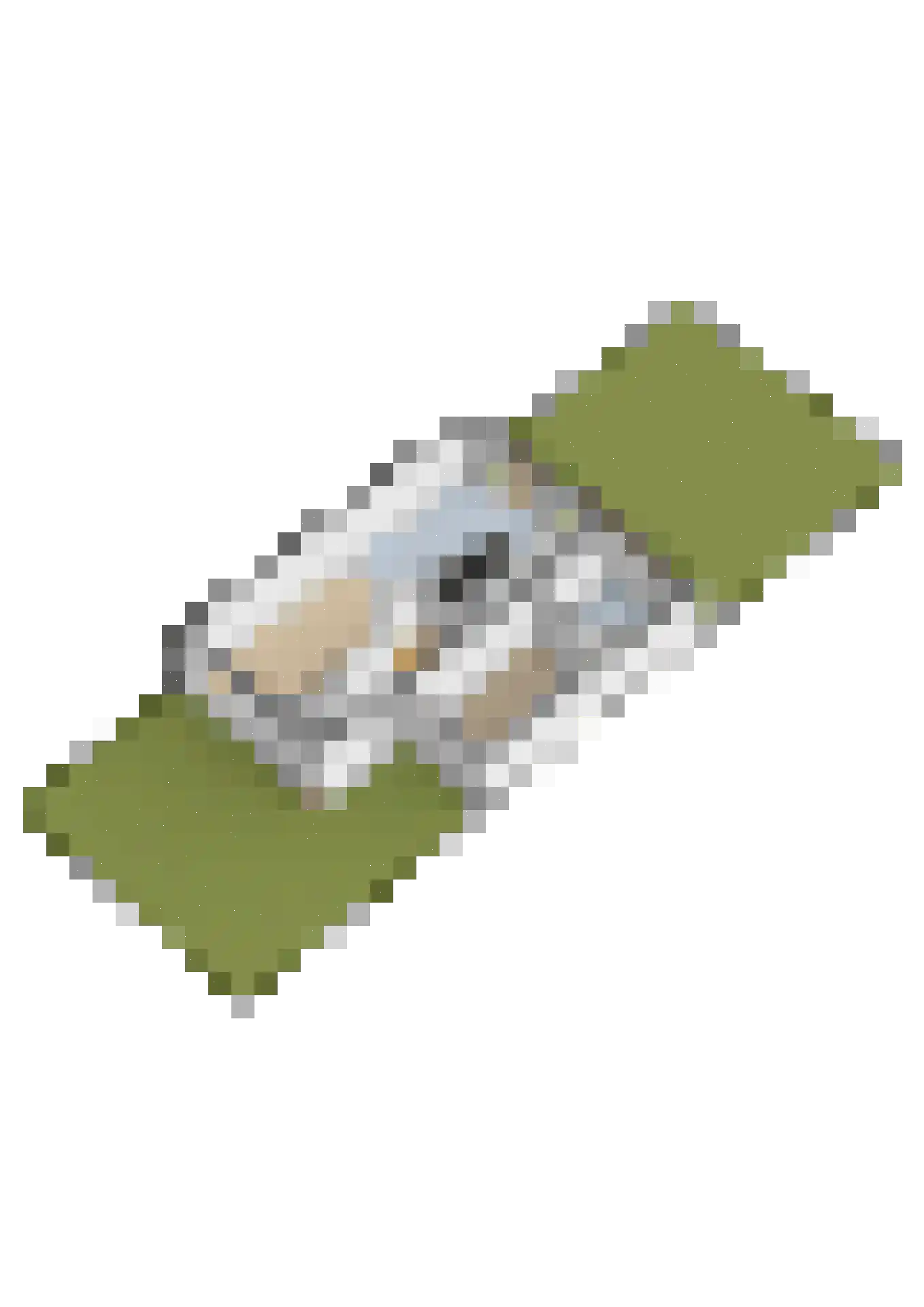 Reidplom 42 Hurdegaryp thumbnail 64