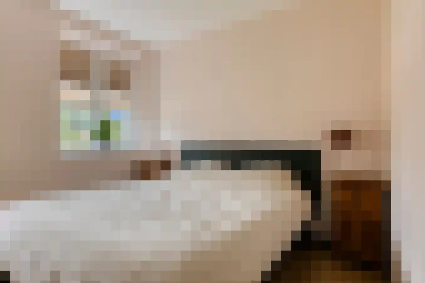 Reidroas 2 A 2 Hurdegaryp thumbnail 12