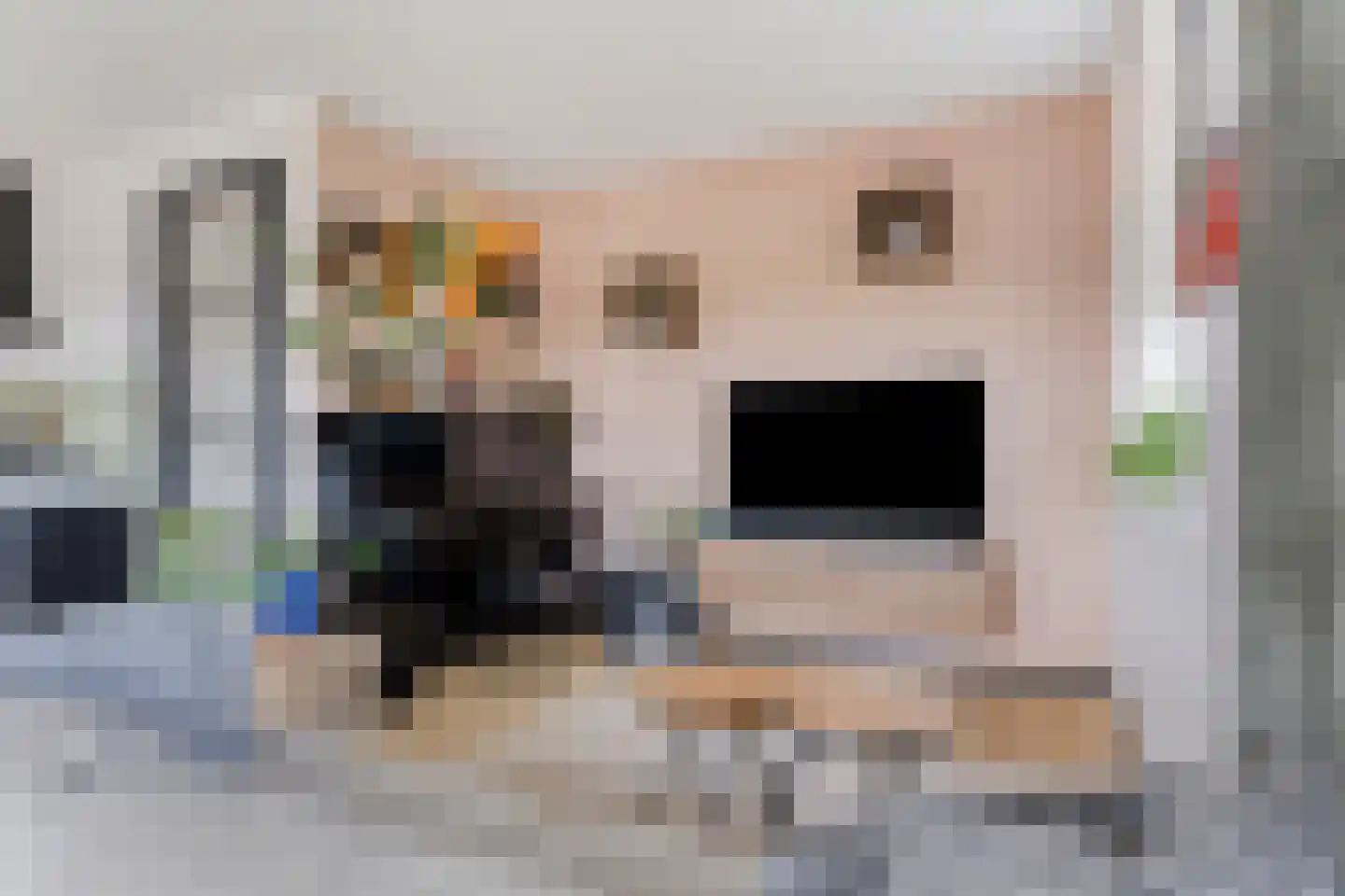 Reidroas 2 A 2 Hurdegaryp thumbnail 7