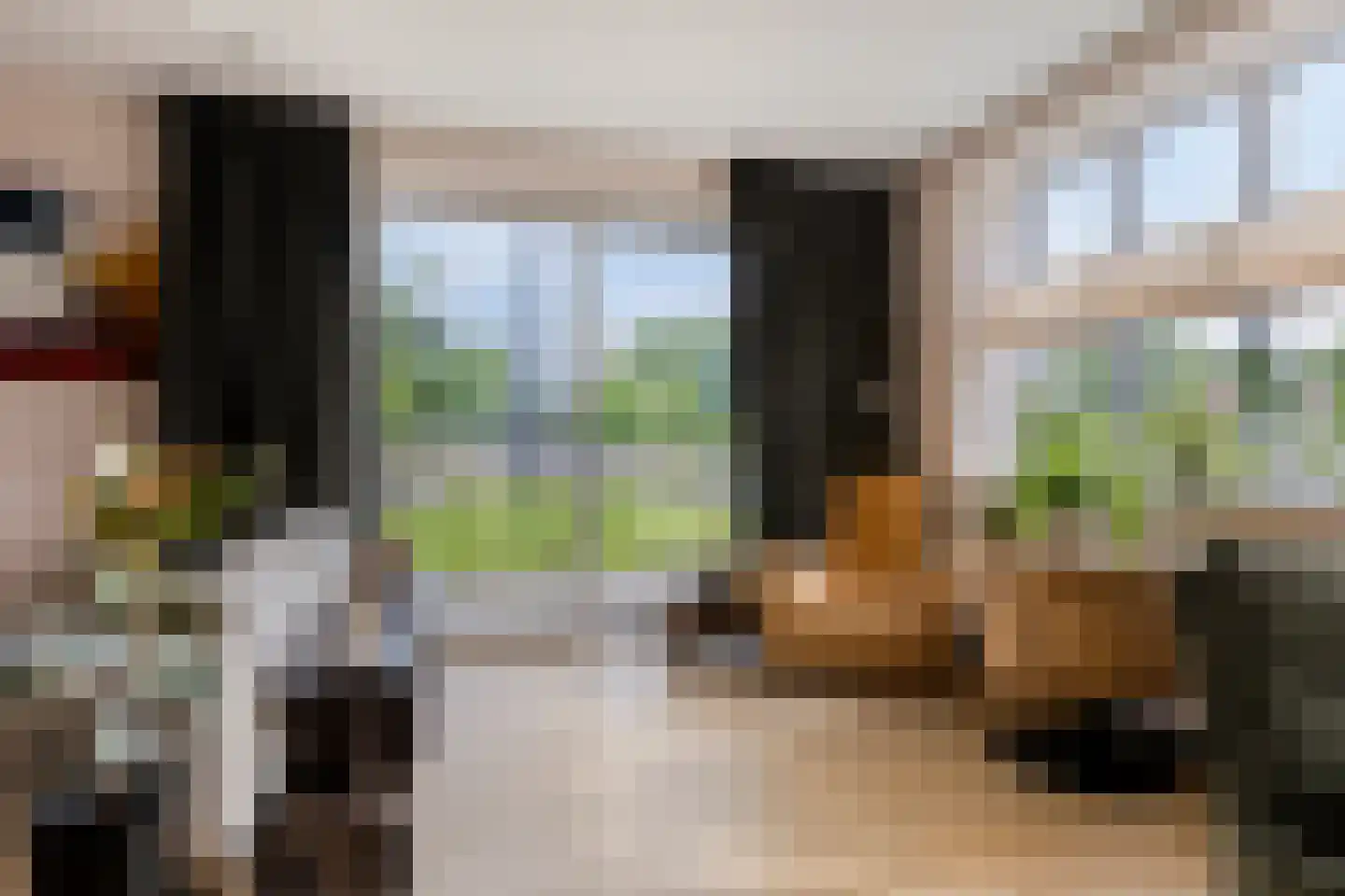 Reidroas 2 A 2 Hurdegaryp thumbnail 8
