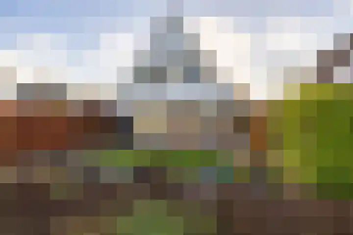 Reidroas 9 Hurdegaryp thumbnail 10