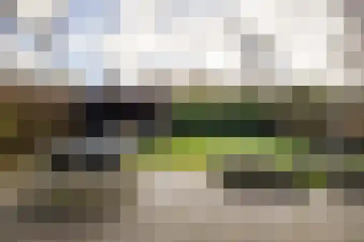 Reidroas 9 Hurdegaryp thumbnail 51