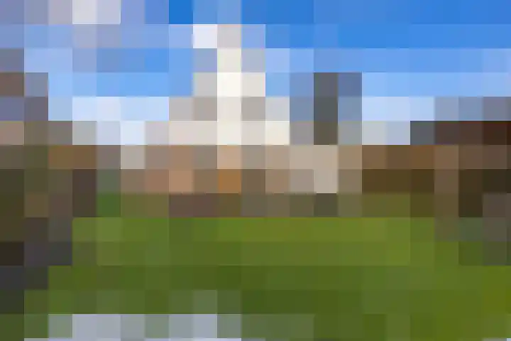 Reidroas 9 Hurdegaryp thumbnail 54