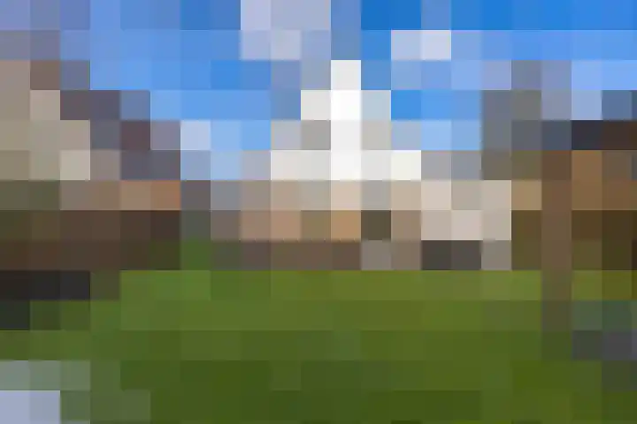 Reidroas 9 Hurdegaryp thumbnail 55