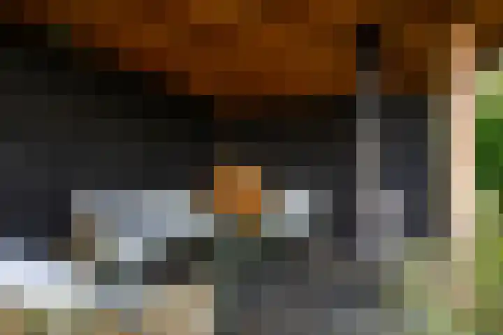 Reidroas 9 Hurdegaryp thumbnail 56