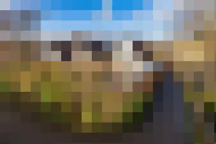 Reidroas 9 Hurdegaryp thumbnail 58