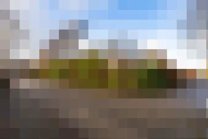 Reidroas 9 Hurdegaryp thumbnail 59