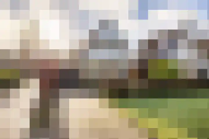 Reidroas 9 Hurdegaryp thumbnail 8