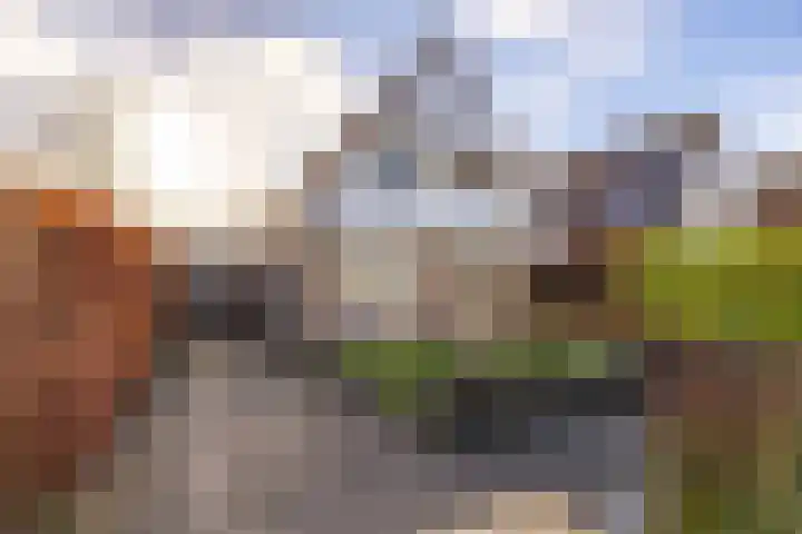 Reidroas 9 Hurdegaryp thumbnail 9