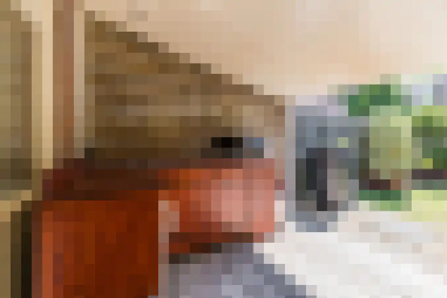 Reiendonk 17 Breda thumbnail 32