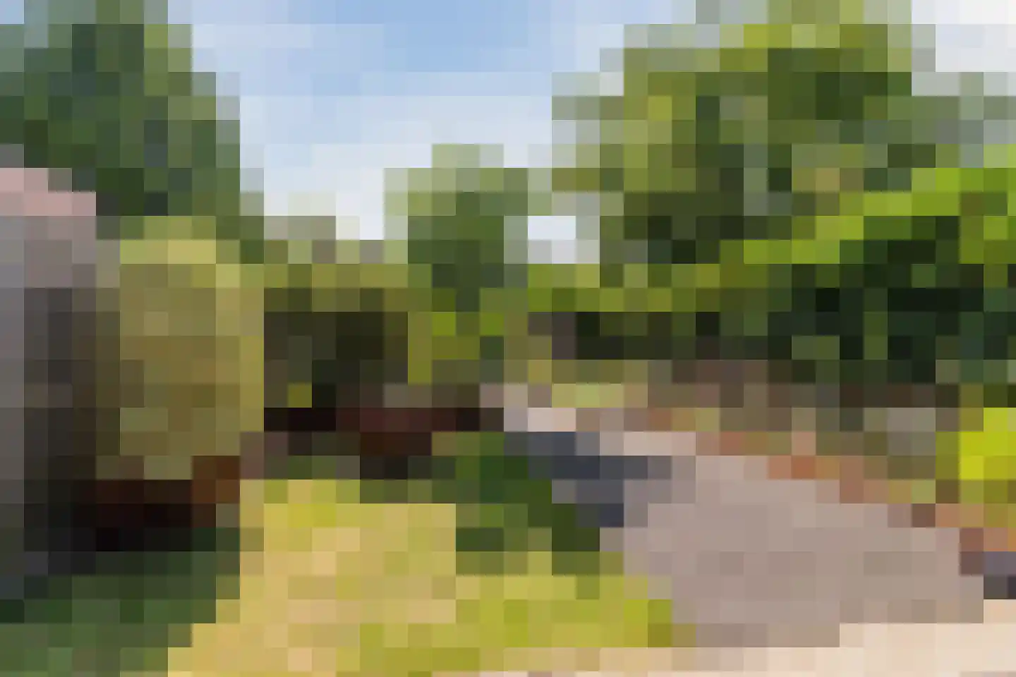 Reiendonk 17 Breda thumbnail 33
