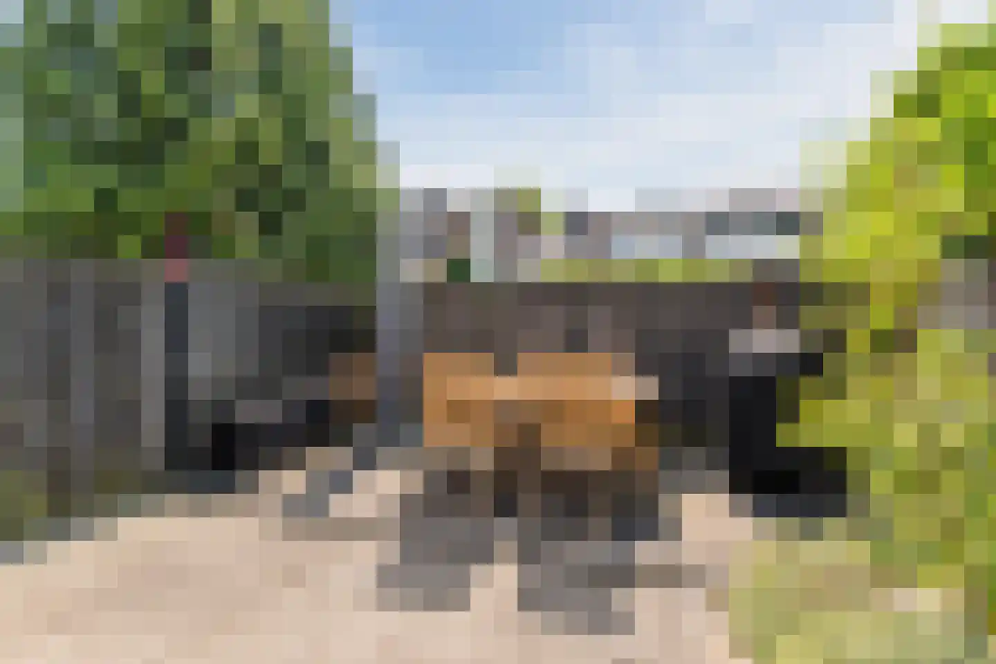 Reiendonk 17 Breda thumbnail 34