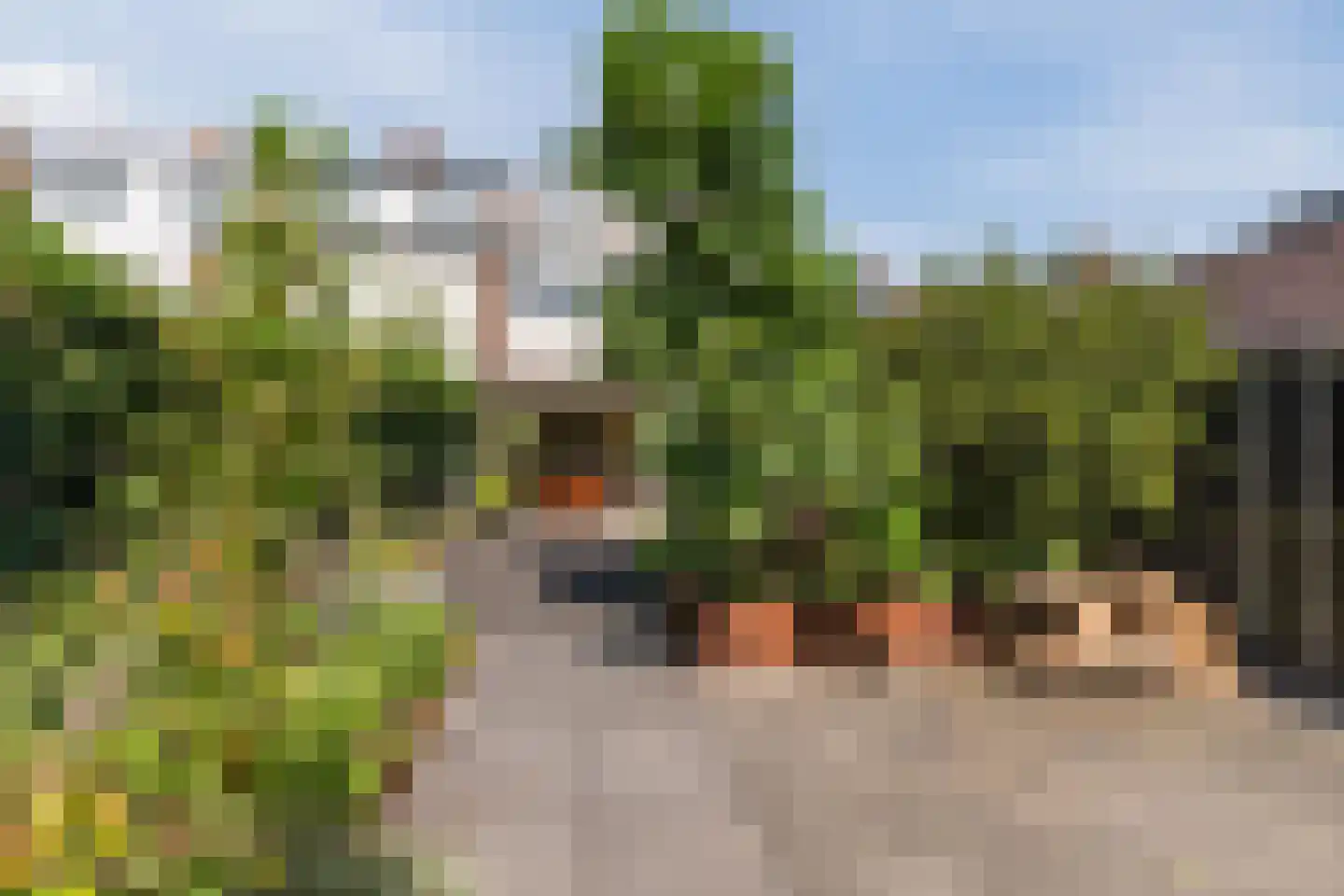 Reiendonk 17 Breda thumbnail 35