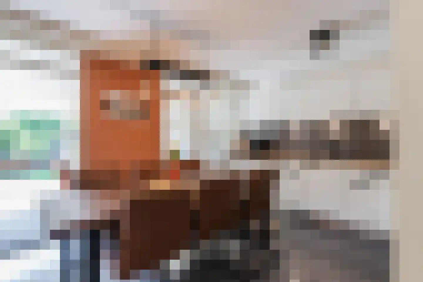 Reiendonk 17 Breda thumbnail 4
