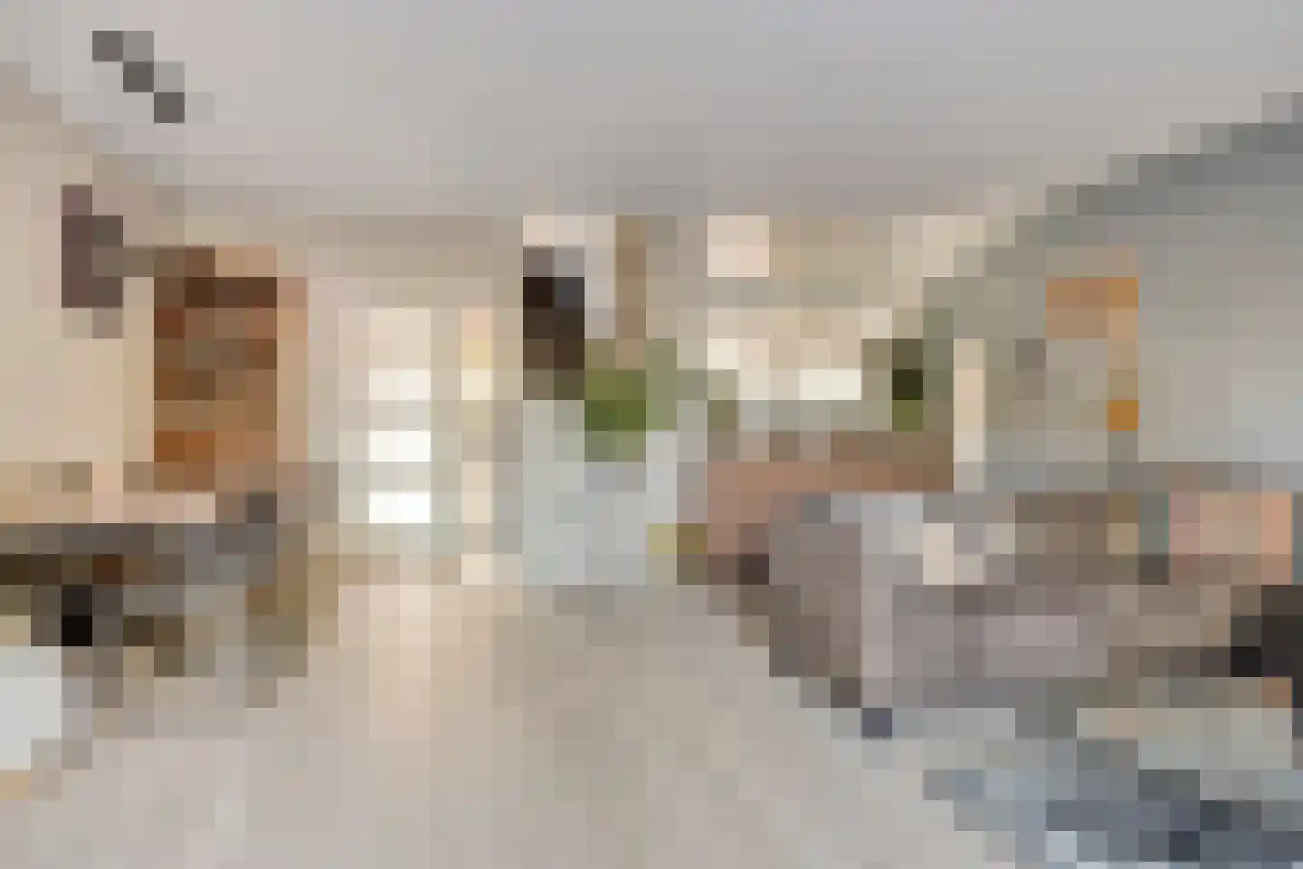 Reiger 10 Zoeterwoude thumbnail 12