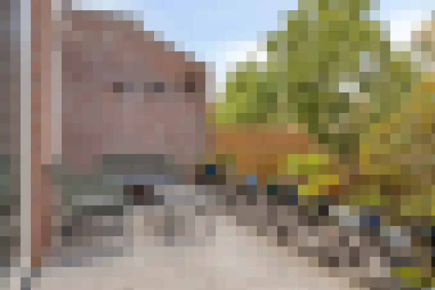 Reiger 10 Zoeterwoude thumbnail 31
