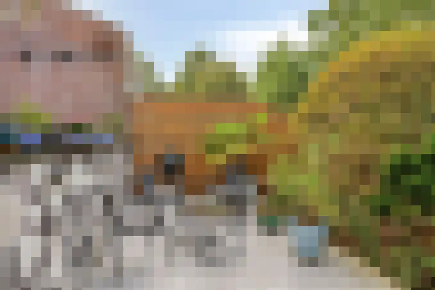 Reiger 10 Zoeterwoude thumbnail 32