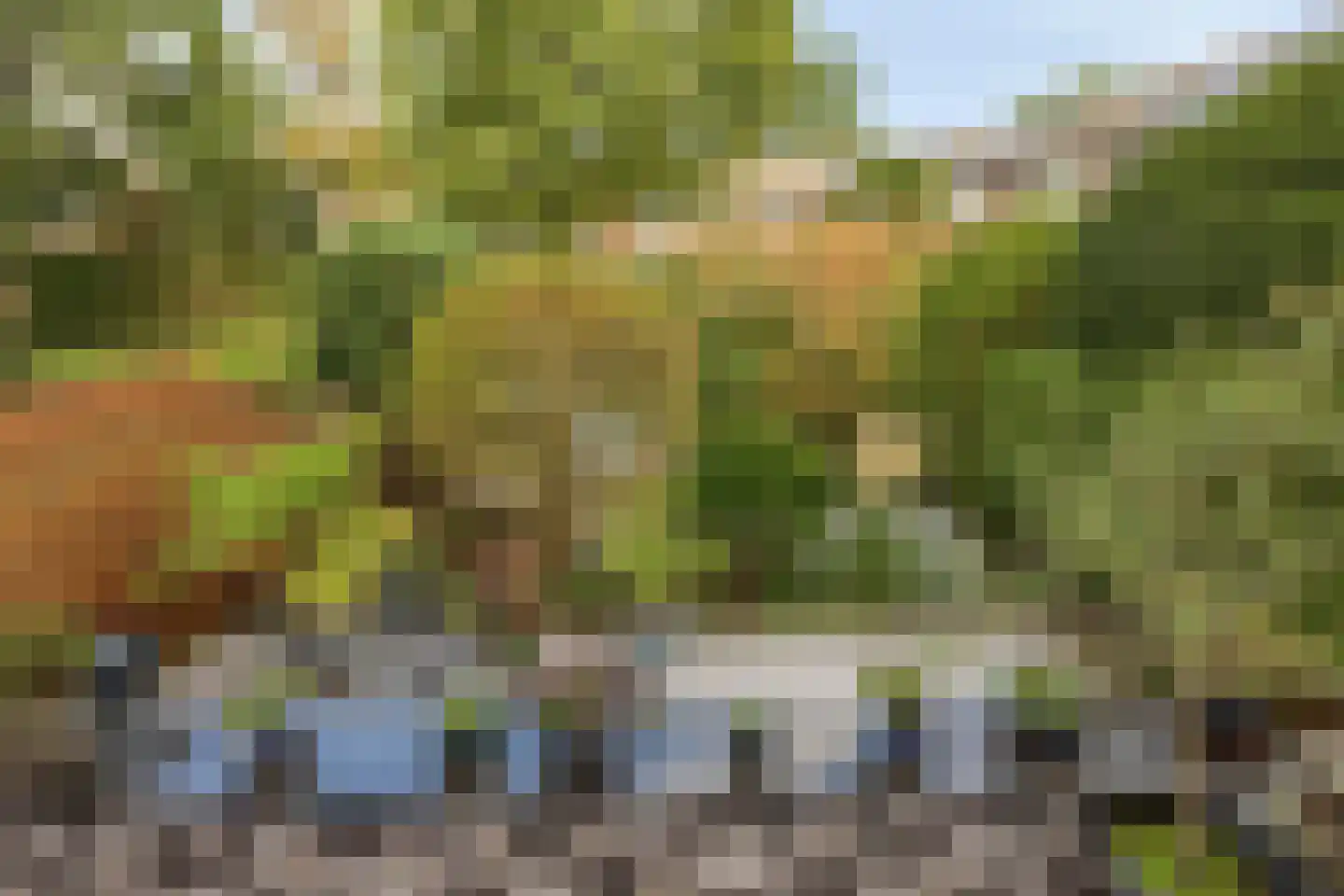 Reiger 10 Zoeterwoude thumbnail 33