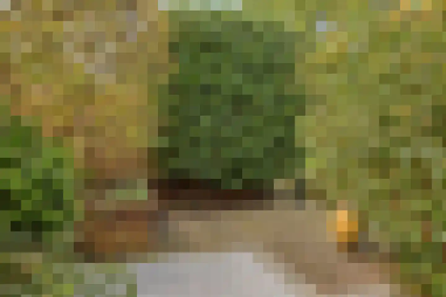 Reiger 10 Zoeterwoude thumbnail 34