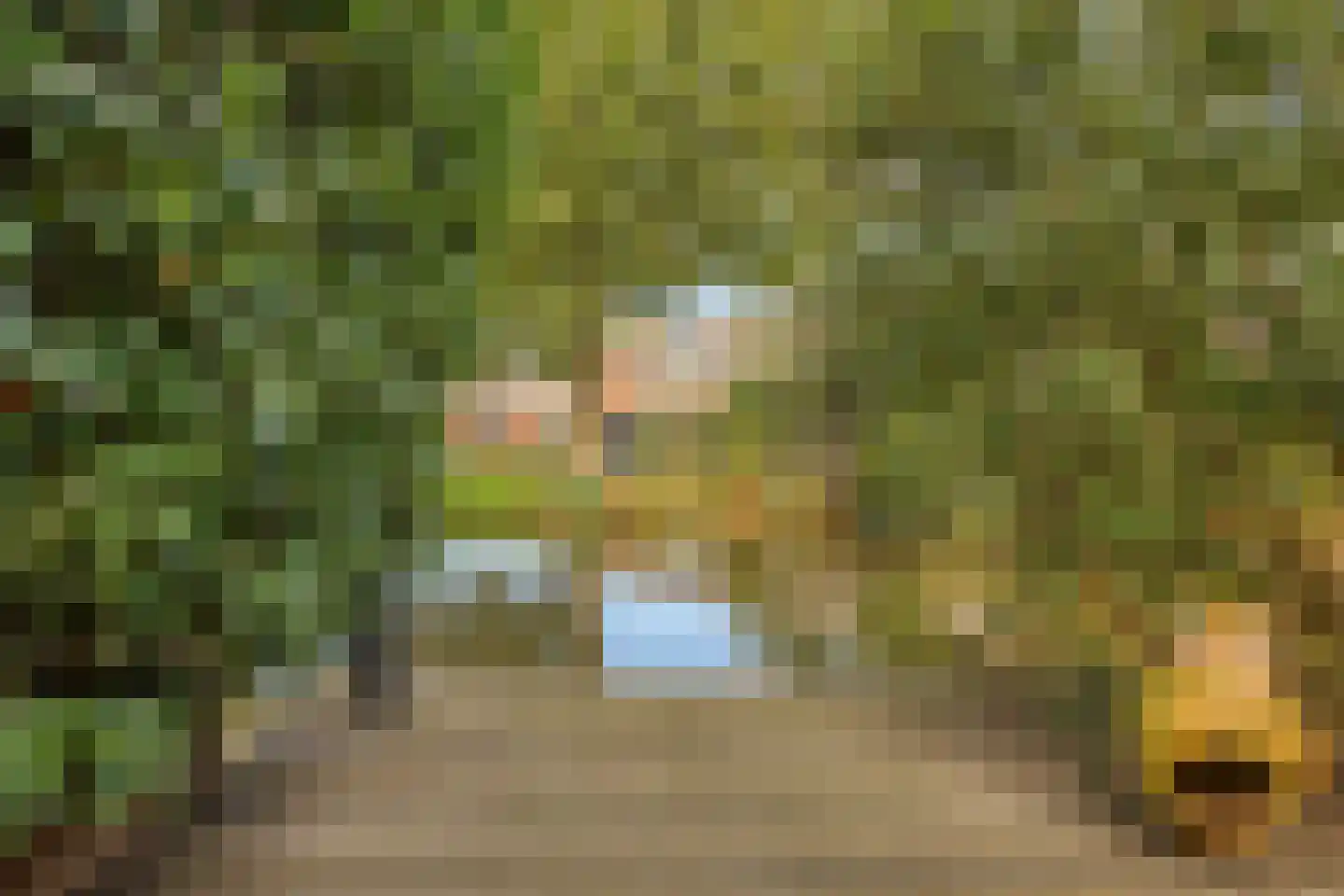 Reiger 10 Zoeterwoude thumbnail 35