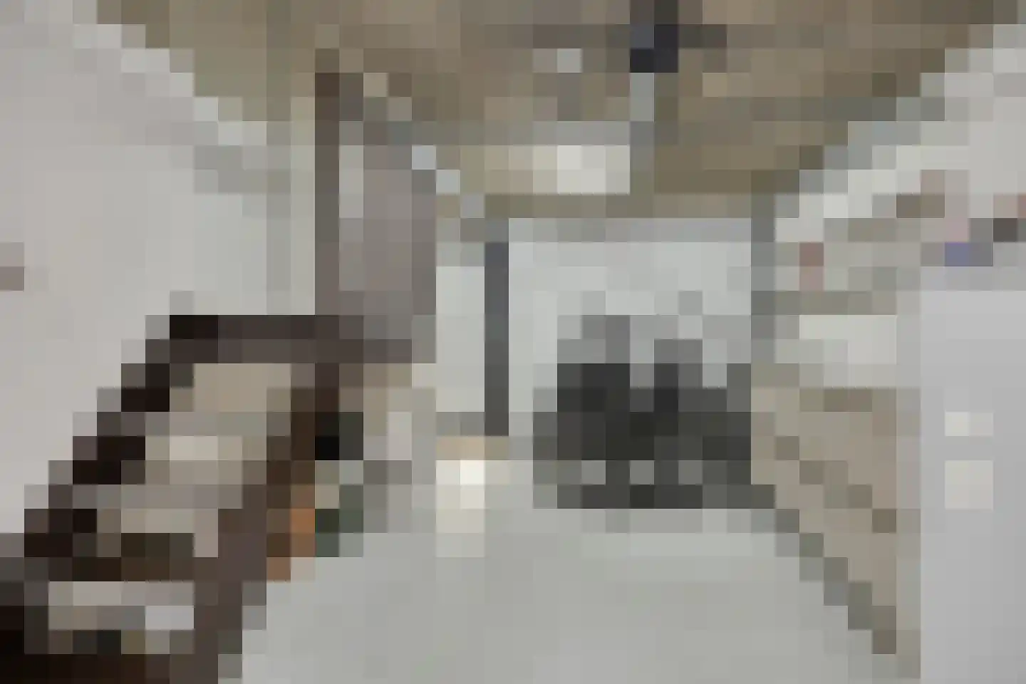 Reiger 10 Zoeterwoude thumbnail 37