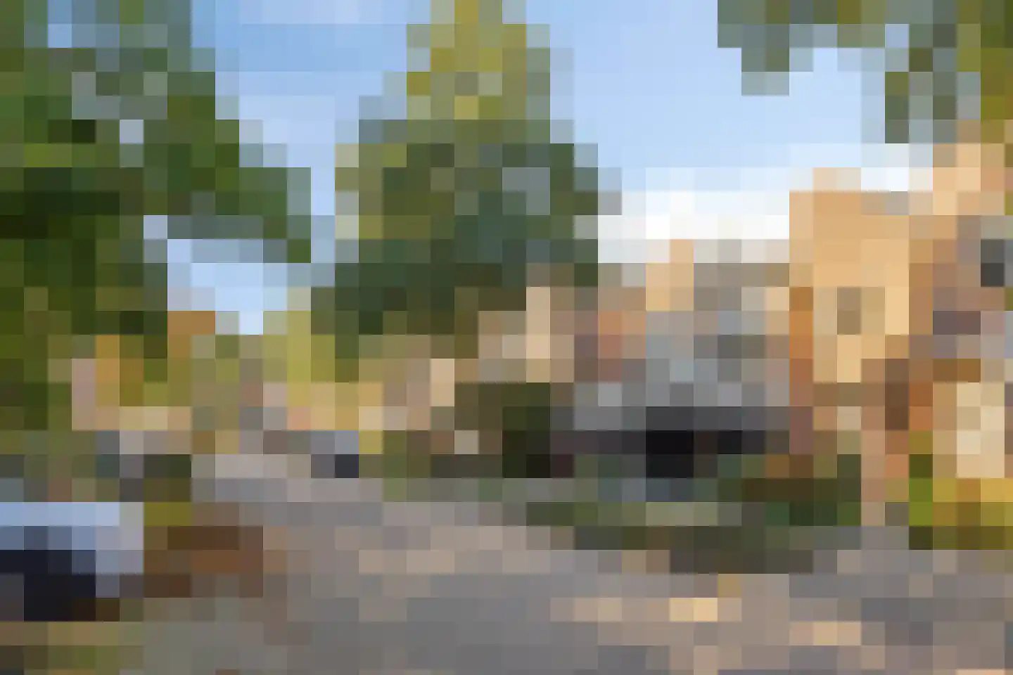 Reiger 10 Zoeterwoude thumbnail 39
