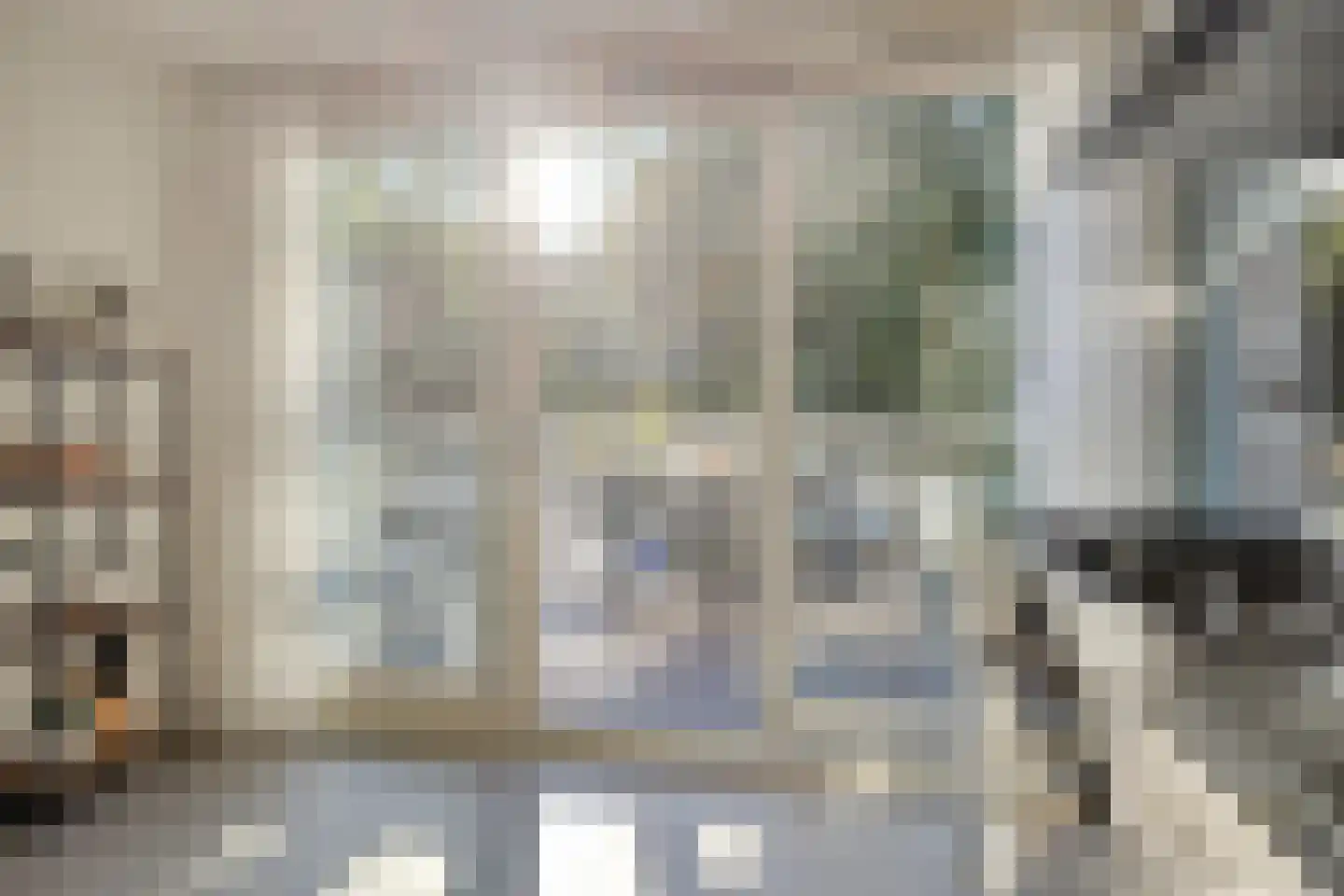 Reiger 10 Zoeterwoude thumbnail 4
