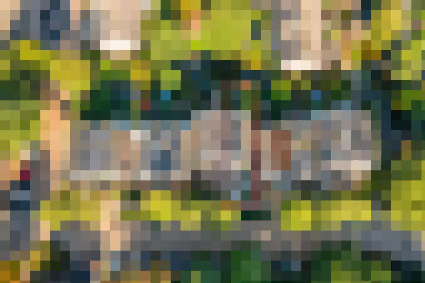 Reiger 10 Zoeterwoude thumbnail 42