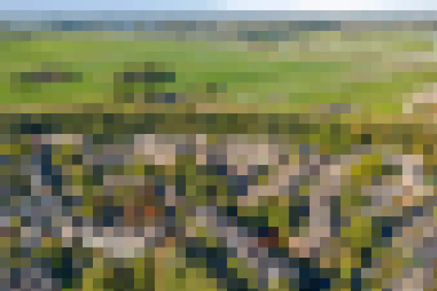 Reiger 10 Zoeterwoude thumbnail 43