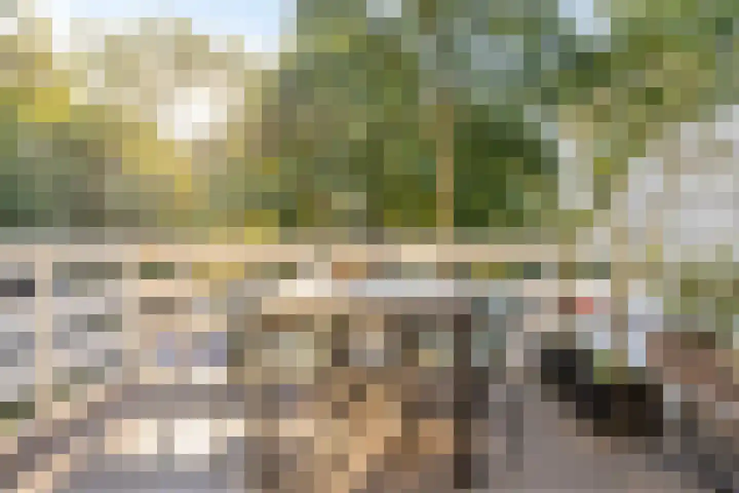 Reiger 10 Zoeterwoude thumbnail 5