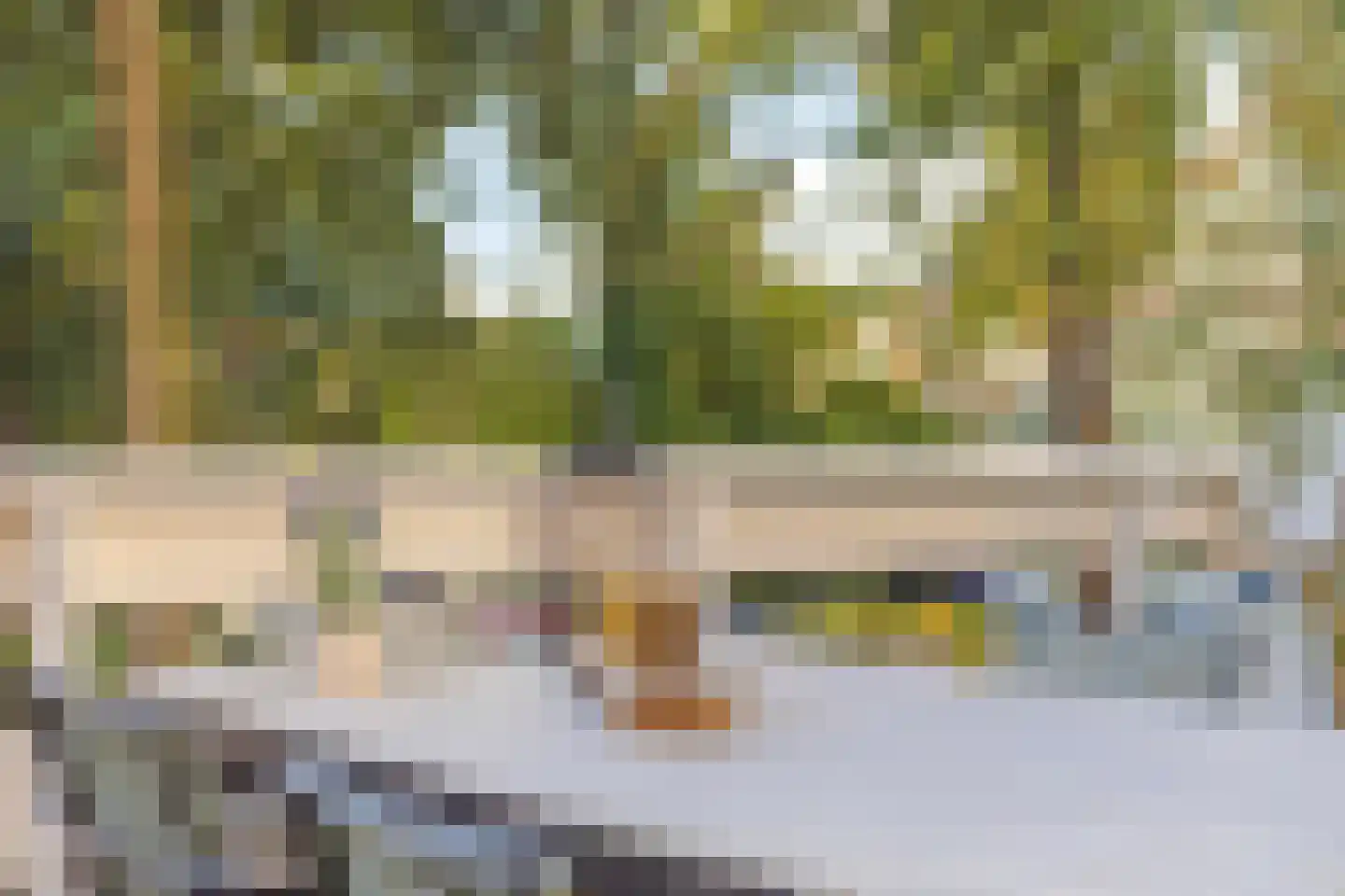 Reiger 10 Zoeterwoude thumbnail 6