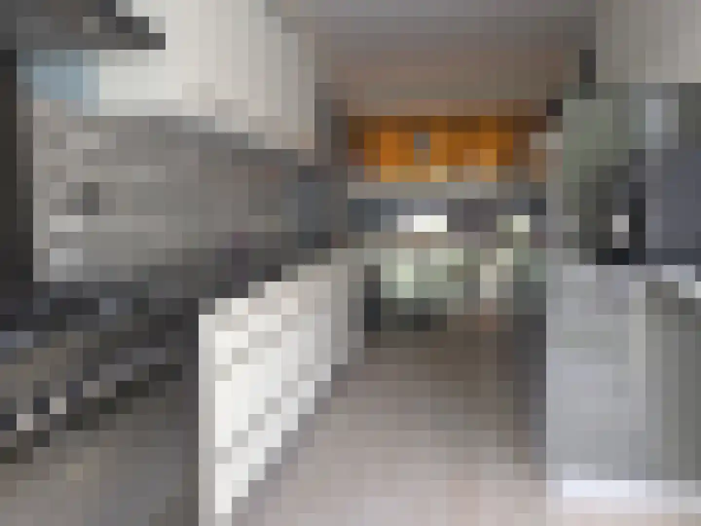 Reiger 10 Zoeterwoude thumbnail 7