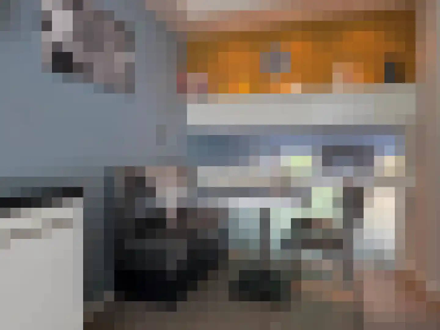 Reiger 10 Zoeterwoude thumbnail 8