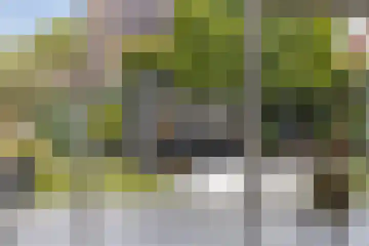 Reiger 102 Raalte thumbnail 10