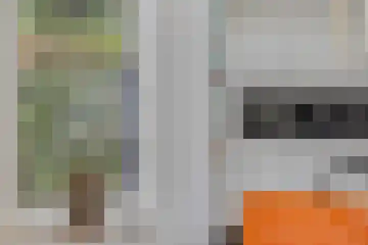 Reiger 102 Raalte thumbnail 15