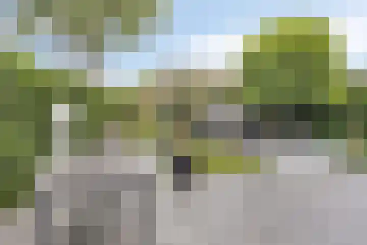 Reiger 102 Raalte thumbnail 36
