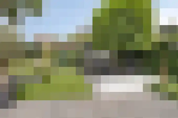 Reiger 102 Raalte thumbnail 37