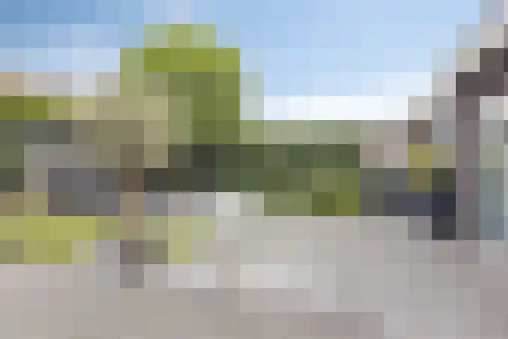 Reiger 102 Raalte thumbnail 38