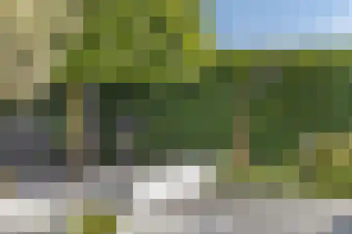 Reiger 102 Raalte thumbnail 39