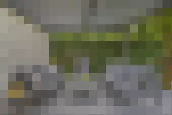 Reiger 102 Raalte thumbnail 41
