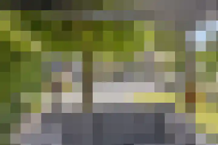 Reiger 102 Raalte thumbnail 42