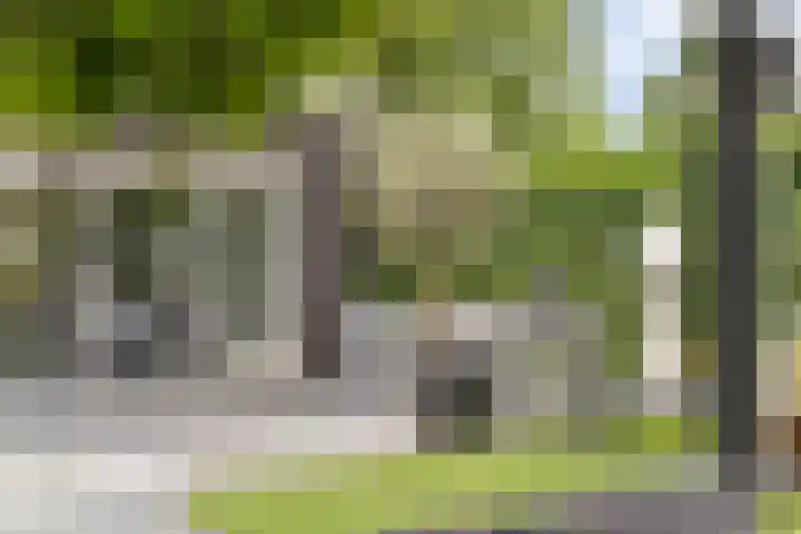 Reiger 102 Raalte thumbnail 43
