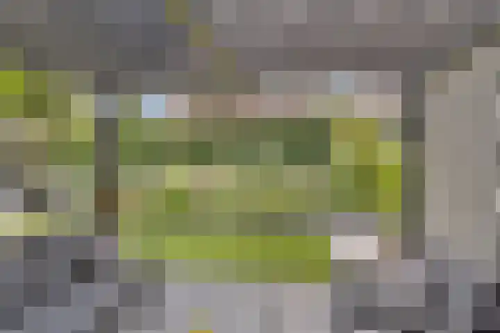 Reiger 102 Raalte thumbnail 44