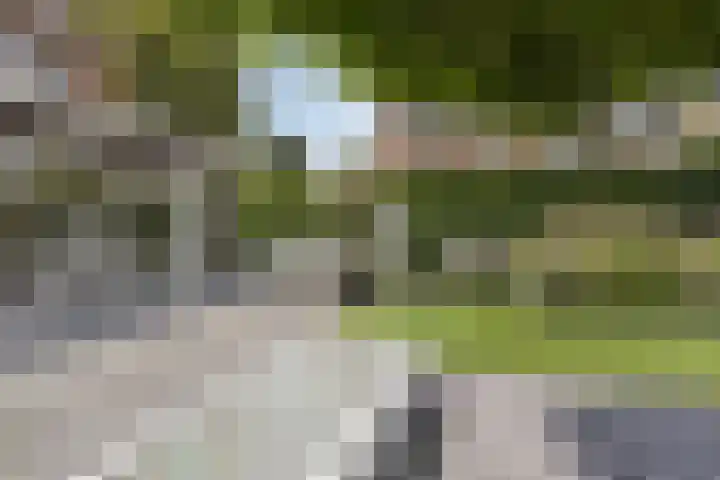 Reiger 102 Raalte thumbnail 45