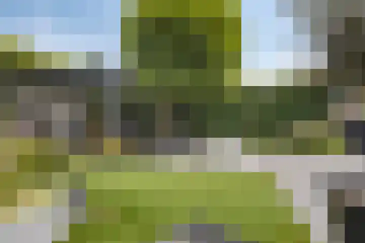 Reiger 102 Raalte thumbnail 46