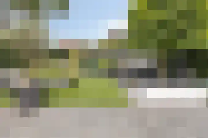 Reiger 102 Raalte thumbnail 47