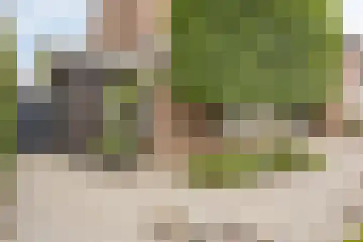 Reiger 102 Raalte thumbnail 48