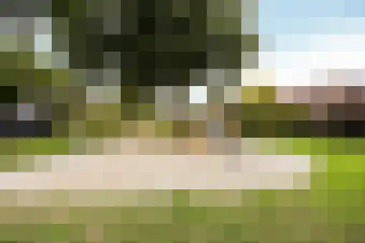 Reiger 102 Raalte thumbnail 52