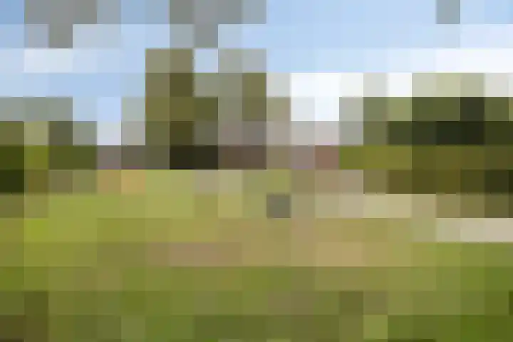 Reiger 102 Raalte thumbnail 53