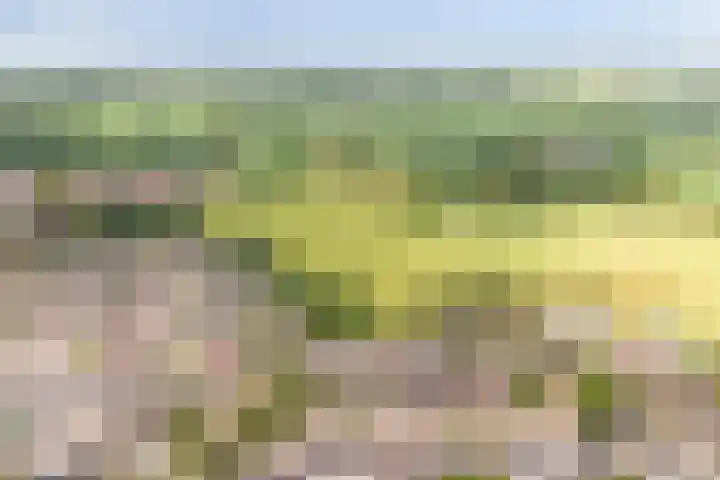 Reiger 102 Raalte thumbnail 54